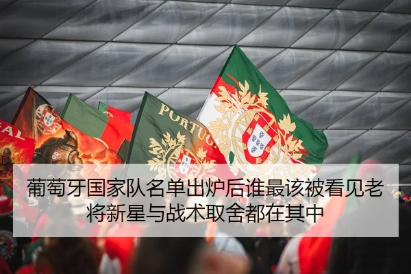 葡萄牙国家队名单出炉后谁最该被看见老将新星与战术取舍都在其中